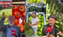 Van’da Sebze Fiyatlarına Yerli Ürün Dopingi
