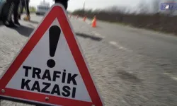 Van’da 22 yaşındaki çoban hayatını kaybetti