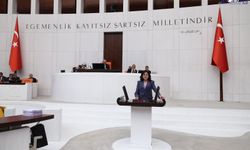 DEM Partili Öznur Bartin, Hakkâri’deki Maden Faaliyetlerini TBMM Gündemine Taşıdı