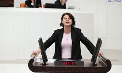 Van Gölü İçin TBMM'de Kritik Çağrı! "Başka Bir Van Gölü Yok" Diyerek Yasa İstedi