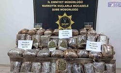 Şanlıurfa’da Otobüs Aramasında Ele Geçirildi: Valizden 39 Kilo Skunk Çıktı