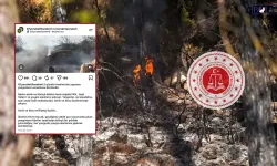 Orman yangını sonrası Kürtleri hedef gösteren paylaşıma soruşturma