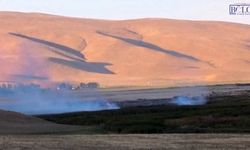 Van’da Kuşların Yuvasında Yangın! 300 Dönümlük Sazlık Alevlere Teslim