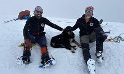 5 Bin Metrede İnanılmaz Manzara! Türk Dağcıların Zirve Yolculuğuna Köpek de Katıldı