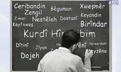 Bin öğrenci Kürtçe dedi, okula bir tek öğretmen atanmadı