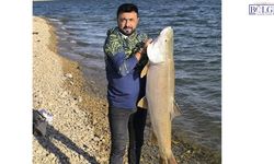 Keban Baraj Gölü’nde 30 kiloluk dev turna balığı