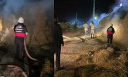 Van’da korkutan yangın! 2 bin bağ ot küle döndü