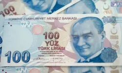 Maaşınız Beklediğinizden Düşük Olabilir: E-Devlet’te Bu Detaya Bakın!