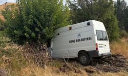 Genç Belediyesine ait minibüs ağaca çarptı: 3 yaralı