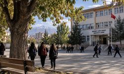 Eğitim Sen Van’dan okul bahçeleri için çağrı: “Çocukların yaşam alanlarını koruyalım”