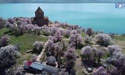 Van-Şanlıurfa arası kaç kilometre?