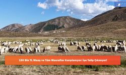 150 Bin TL Maaş ve Tüm Masraflar Karşılanıyor: İşe Talip Çıkmıyor!