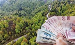 Van ve Hakkâri’de 49 yıllık yatırım fırsatı! Başvurular başladı