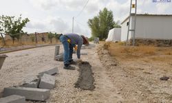 Van'da 5 Mahallede Parke ve Asfalt Çalışması