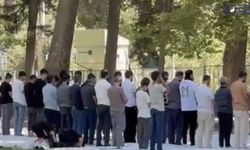 Nusaybin’de piknik molasında dikkat çeken görüntü