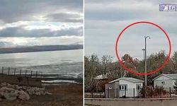 Rojin dosyasında bomba ayrıntı: Araç sahipleri neden sadece akrabalık üzerinden araştırıldı?