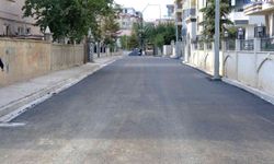 Van'da Asfalt Seferberliği! İki Sokak Daha Yenilendi
