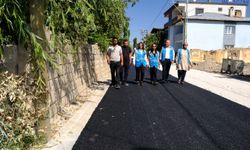 Van İpekyolu’nda asfalt çalışması! Eşbaşkanlar sahada inceleme yaptı