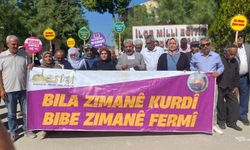 Van’da Kürtçe için çağrı: “Eğitim dili olarak tanınmalı”