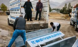 Van’da hayvancılığa 5 bin yeni sıvat desteği