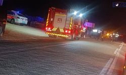Otobüsten İnen Aileye Panelvan Çarptı, 2 Ölü