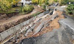 Bitlis’te Yağış Yolu Çökertti: Facianın Eşiğinden Dönüldü