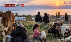 Van’da Kırsalın Sessiz Çığlığı: Kadınlar ve Gençler Nereye Gidiyor?