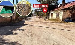 Van’da 14 Üyeden 5’i Kaldı! Esnaf Sebebini Açıkladı