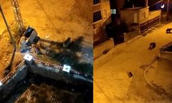 Kars'ta ayılar mahalleyi istila etti