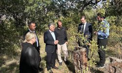 Güroymak'ta tarihî alanlarda inceleme yapıldı