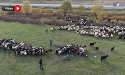 Van’dan Siirt’e dönüş başladı: Günlerce yolda kalıyorlar