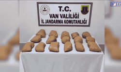 Van’ın da aralarında olduğu 32 ilde dev operasyon: 298 kişi tutuklandı