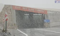 Van’da sürücülere uyarı: Karabet Geçidi sise büründü