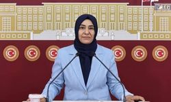 Van’da kronik sorunlar Meclis gündeminde