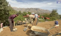 Hakkari’de imece geleneği yaşatılıyor! Komşular evin damı için seferber oldu