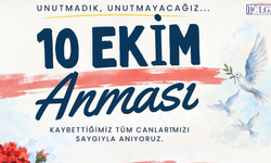 Van’da 10 Ekim anması: Hayatını kaybedenler anılacak