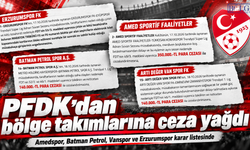 PFDK'dan bölge takımlarına ceza yağdı: Amedspor, Vanspor, Batman Petrol...