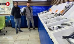 Van’da inci kefalinin fiyatı belli oldu: Balıkçılardan çağrı