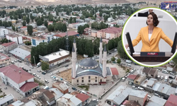 Van Çaldıran’da Doğalgaz Sorunu Meclis Gündeminde