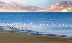 Van ve Erçek Gölleri için iklim seferberliği