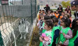 Van’da minik öğrenciler sokak hayvanlarıyla buluştu
