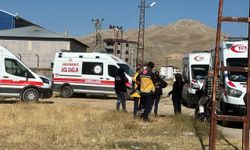 Van’da arı paniği: Mahalle arıların istilasına uğradı