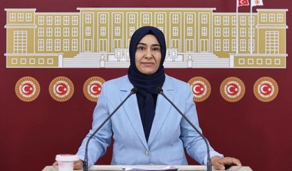 DEM Parti Van Milletvekili Varlı Meclis’te Gündeme Getirdi: “Engelli Kadınların Sesi Duyulmalı”