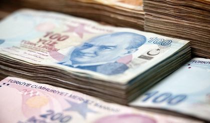 Diplomayı Boşverdi, Geliri Katladı: Ayda 280 Bin TL Kazandıran İş!