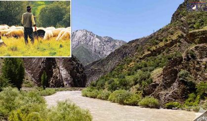 Van-Hakkâri Karayolunda Çoban Zap Suyuna Düştü