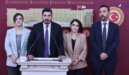 DEM Parti'den Cezaevleri Raporu: "Karadenizde Hak İhlalleri Yaygınlaşıyor"