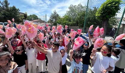 Van'da TEGV İlkbahar dönemini şenlikle sona erdirdi