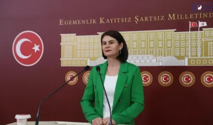 Van’da doğalgaz bilmecesi Meclis’e taşındı: Bakanlığa 6 soru