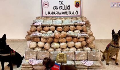 Van’da dev operasyon! TIR’dan 333 kilo skunk çıktı