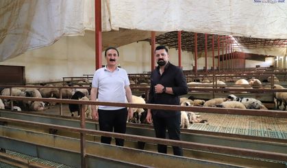 Van'da Üreticiden Acil Çağrı! "Pazar Yok, Hayvancılık Zor Ayakta Duruyor"